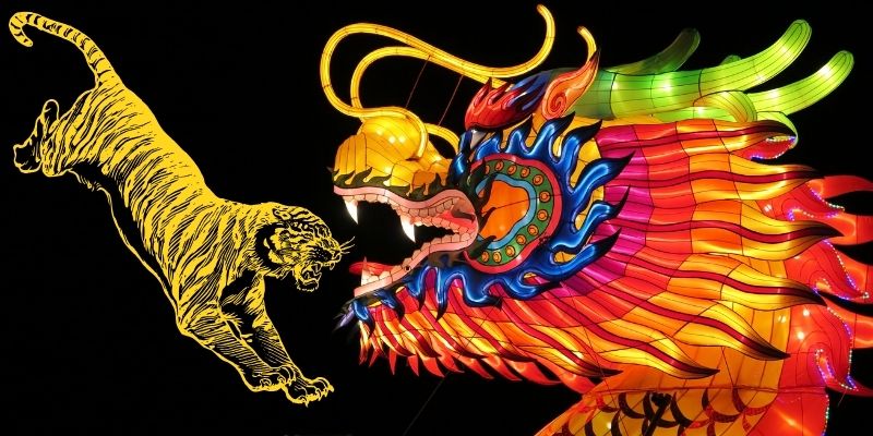 Rồng Hổ là gì?