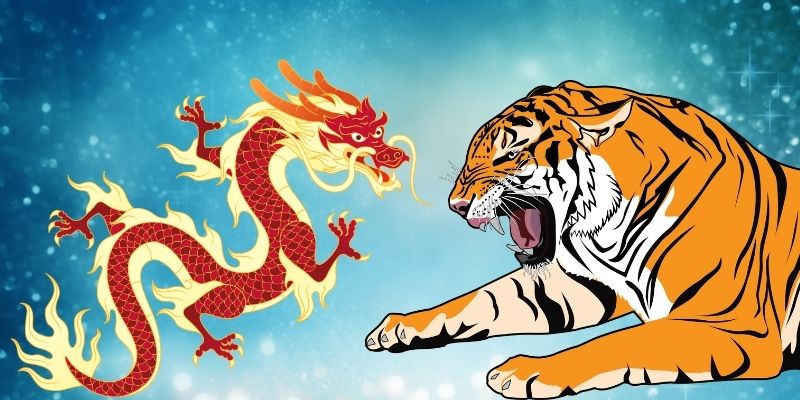 Thuật ngữ cần nắm trong Rồng Hổ